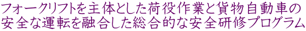 フォークリフトを主体とした荷役作業と貨物自動車の 安全な運転を融合した総合的な安全研修プログラム